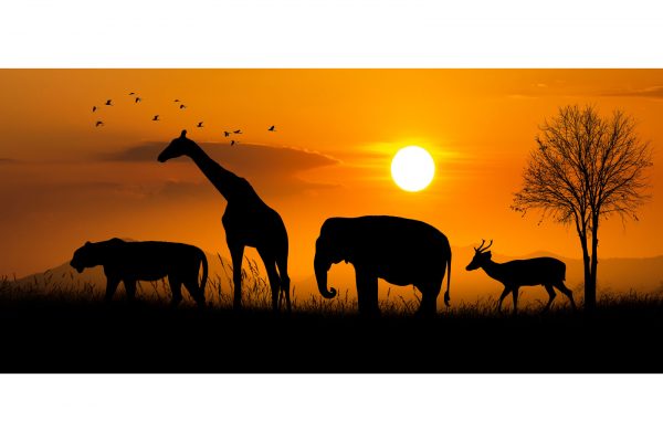 Silhouette d'animaux de la savane sur acrylique imprimée